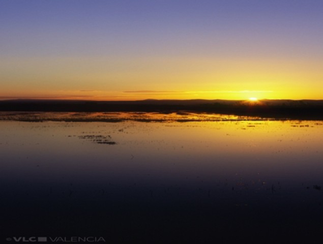 Albufera